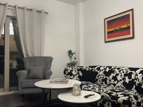 Rent, one bedroom apartment, 48m², Preko Morače, Podgorica - image 10