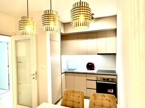 Izdavanje, jednosoban stan, 48m², Central Point, Podgorica - image 4