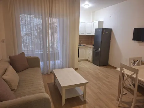 Prodaja, garsonjera, 31m², Budva, Crna Gora - image 22