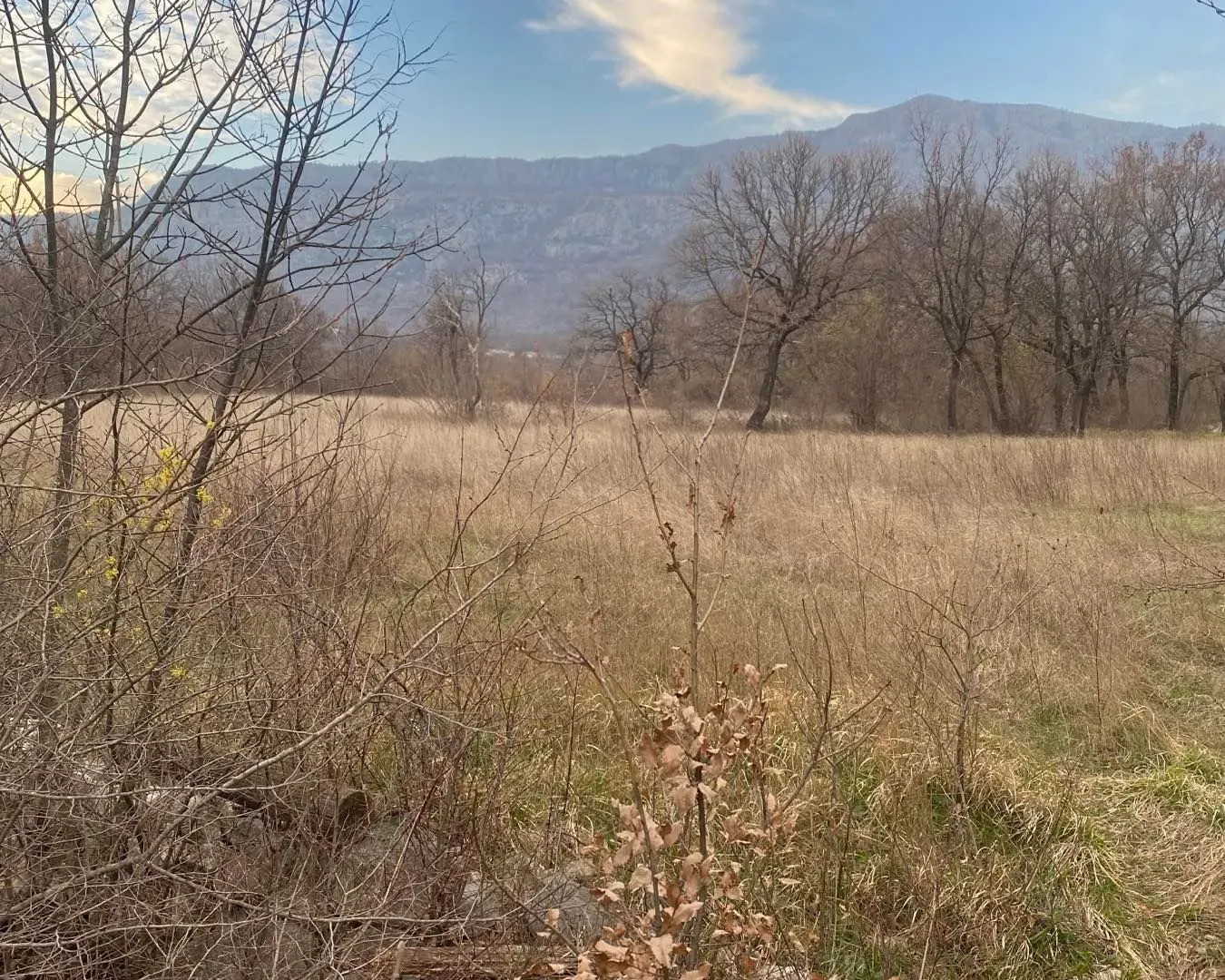 Prodaja, plac, 8612m², Podgorica, Crna Gora