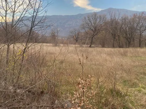 Prodaja, plac, 8612m², Podgorica, Crna Gora - image 3