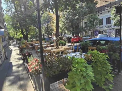 Izdavanje, poslovni prostor, 92m², Cvetni Trg, Vračar Sve Podlokacije - image 13