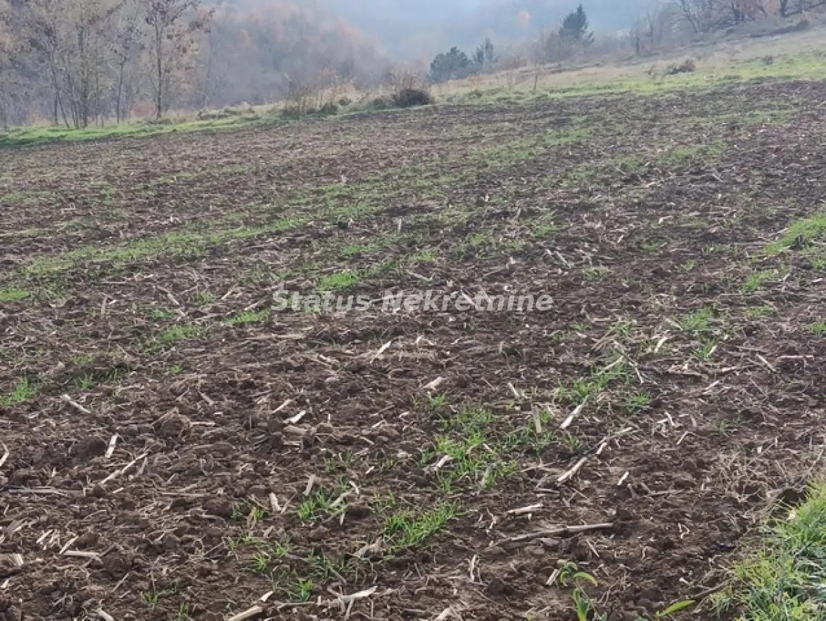Prodaja, plac, 322m², Sremski Karlovci, Novi Sad