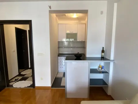 Izdavanje, jednosoban stan, 45m², Rozino, Budva - image 10