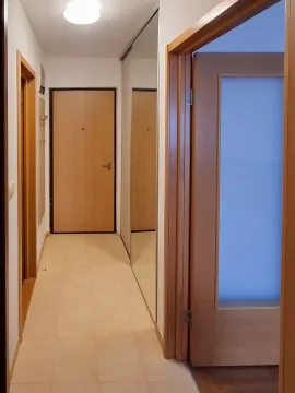 Izdavanje, jednosoban stan, 45m², Stari Aerodrom, Podgorica - image 8