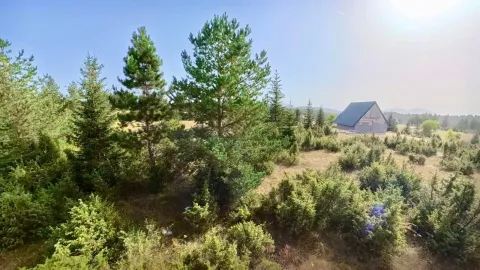 Pogled na dvorište puno zelenila i četinarima okruženu kuću u daljini. - image 3