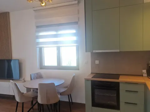 Rent, one bedroom apartment, 43m², Zagorič, Podgorica - image 2