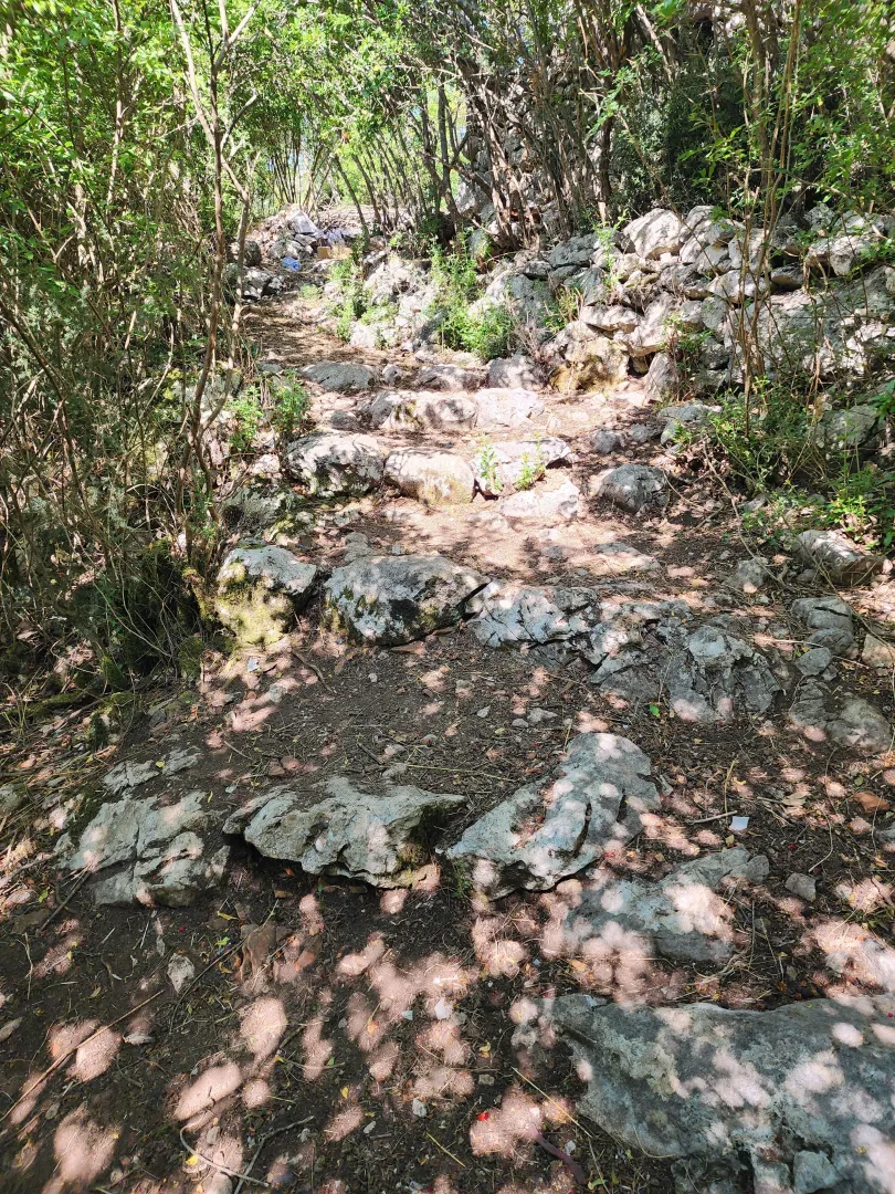 Šumoviti teren sa kamenim zidom i stazom u prirodi.