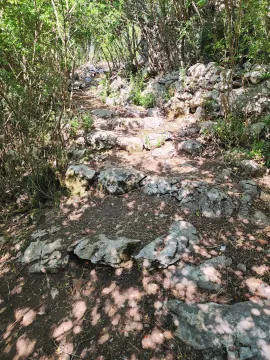 Šumoviti teren sa kamenim zidom i stazom u prirodi. - image 10