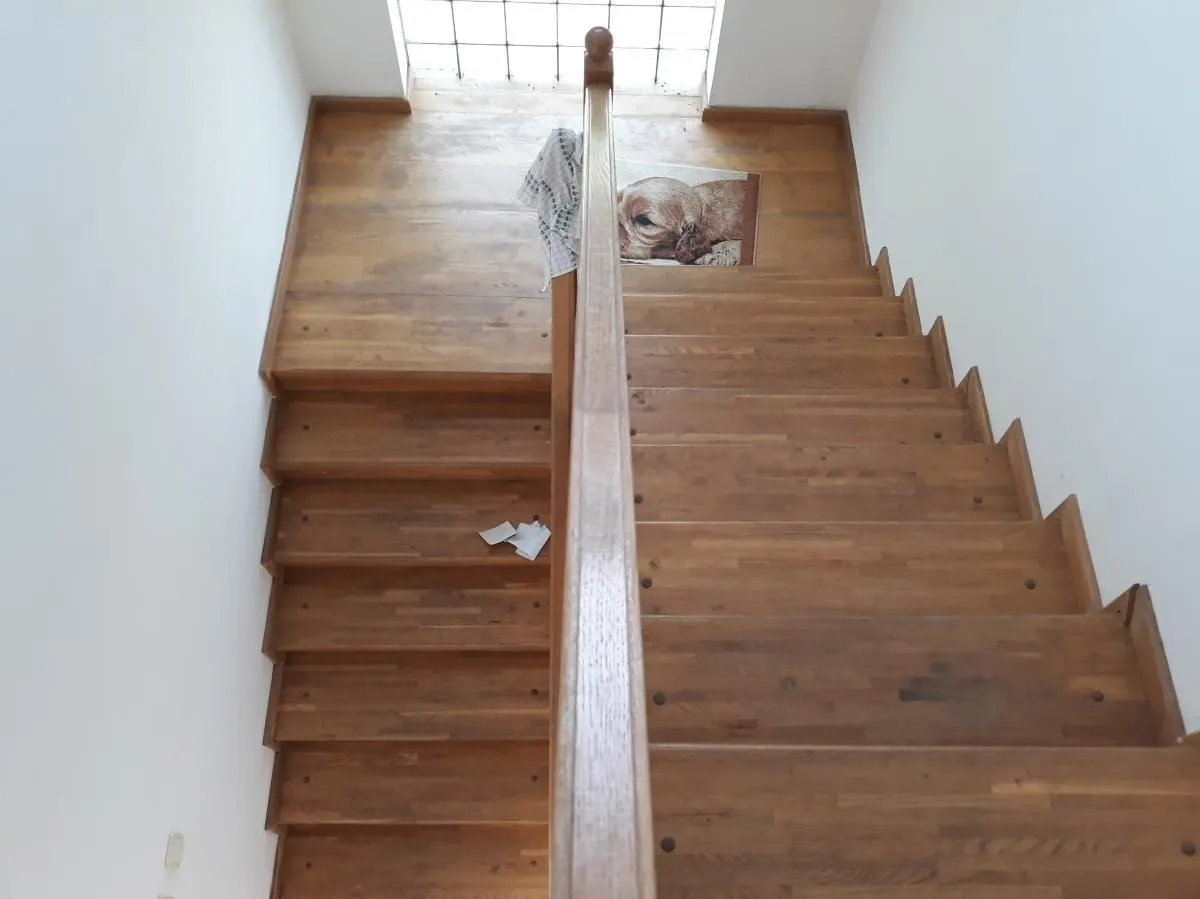 Prodaja, kuća, 200m², Adice, Novi Sad Sve Podlokacije