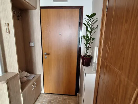 Sale, studio apartment, 19m², Zabjelo, Podgorica - image 8