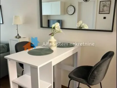 Izdavanje, dvosoban stan, 50m², Stari Grad, Beograd - image 16
