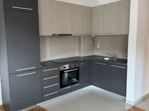 Izdavanje, jednosoban stan, 50m², Rozino, Budva - image 2