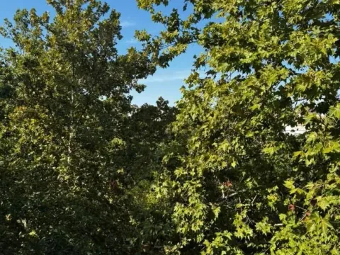 Izdavanje, trosoban stan, 78m², Mirijevo Sve Podlokacije, Beograd - image 14