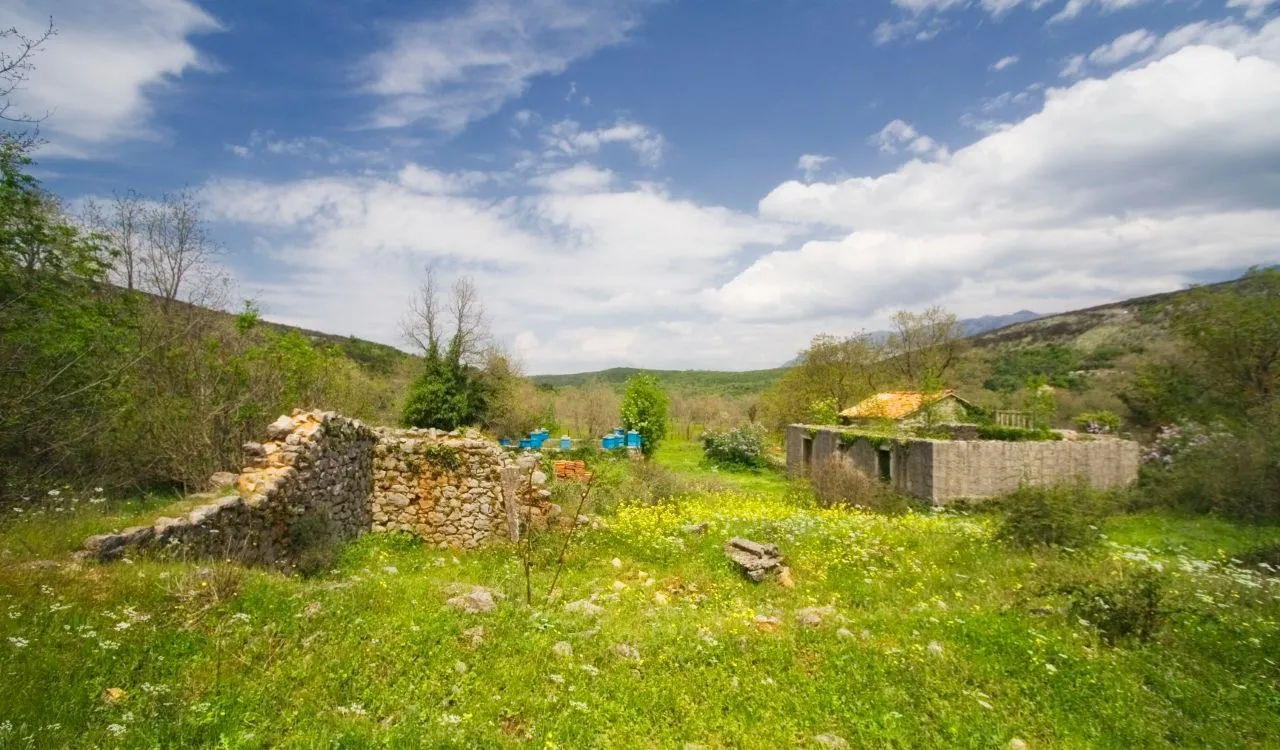 Prodaja, plac, 164m², Kotor, Crna Gora