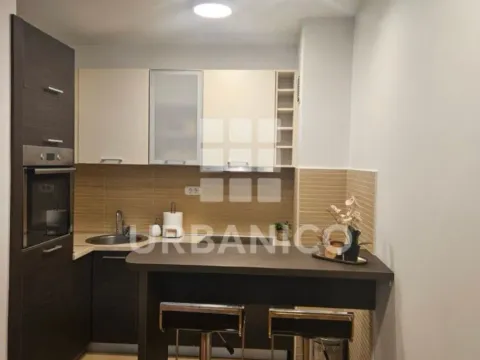 Izdavanje, jednosoban stan, 48m², Tološka šuma, Podgorica - image 2