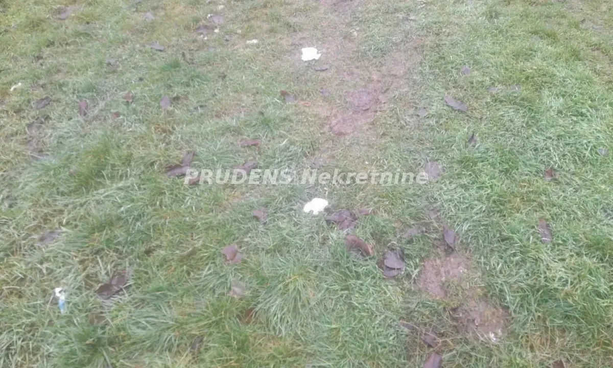 Prodaja, plac, 500m², Surčin, Beograd