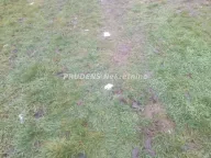 Prodaja, plac, 500m², Surčin, Beograd