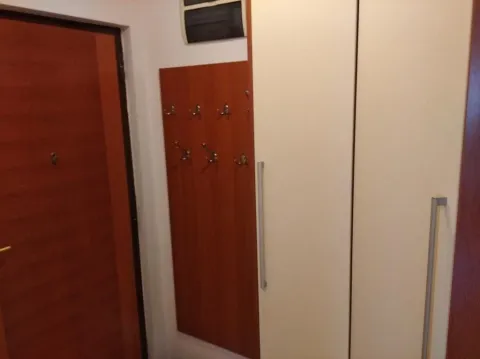 Rent, one bedroom apartment, 55m², Preko Morače, Podgorica - image 14