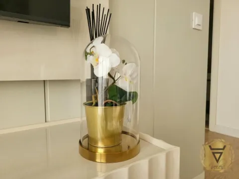 Izdavanje, dvosoban stan, 53m², Savski Venac, Beograd - image 4