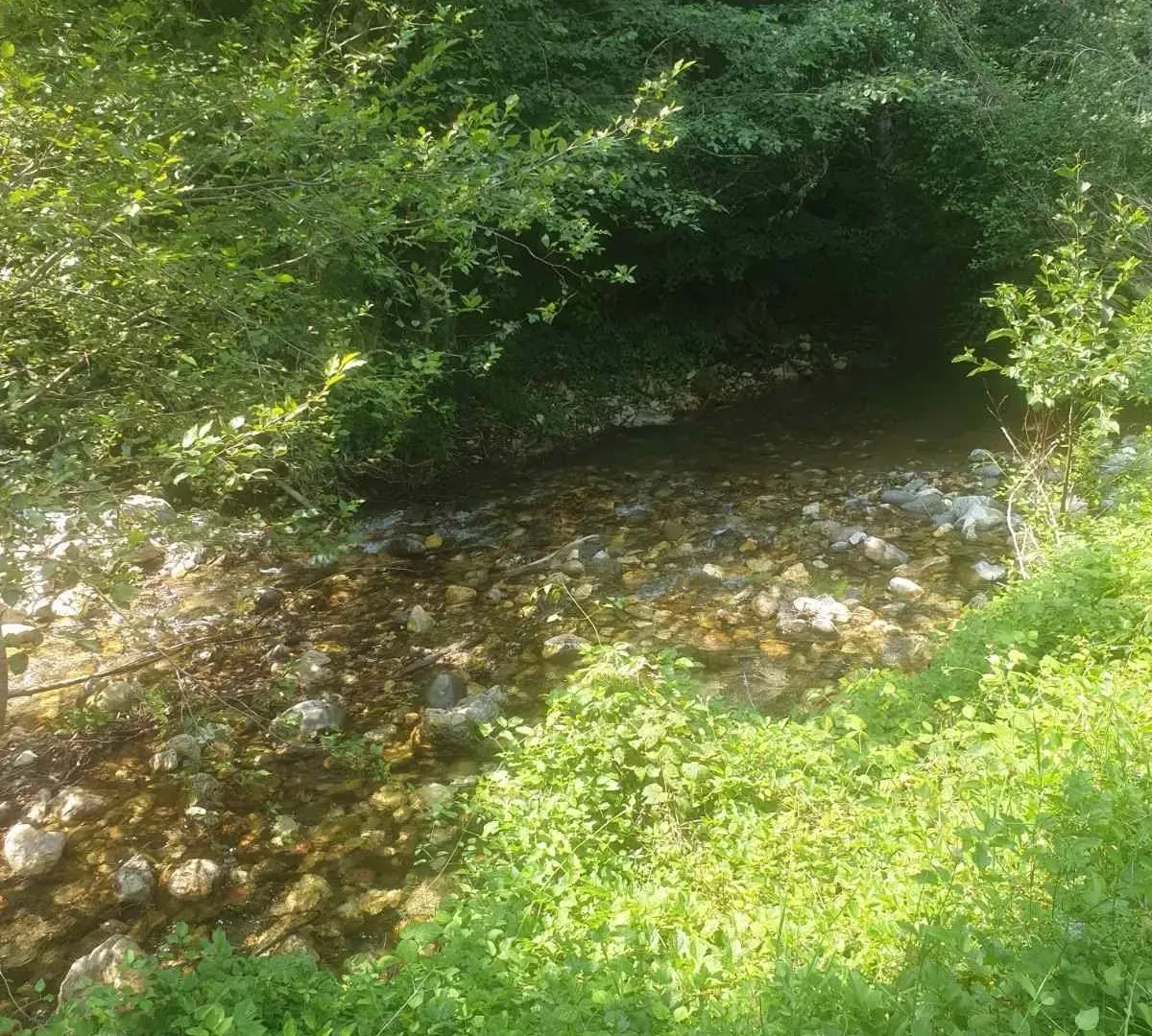 Prodaja, plac, 600m², Kolašin, Crna Gora