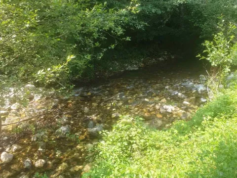 Prodaja, plac, 600m², Kolašin, Crna Gora - image 2