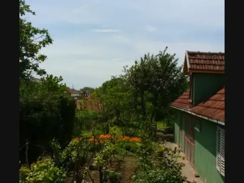 Prodaja, kuća, 240m², Titel, Novi Sad - image 16