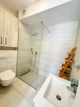 Modern bathroom with walk-in shower, washbasin, and wall-mounted toilet. - image 11
