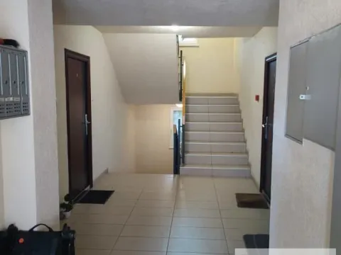 Prodaja, trosoban stan, 52m², Zemun Sve Podlokacije, Beograd - image 3