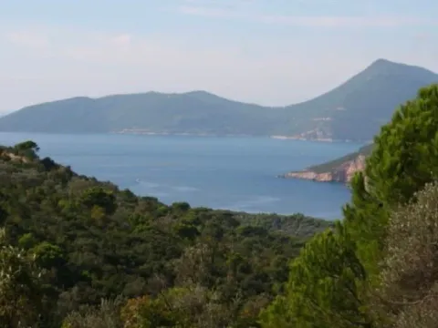 Sale, land lot, 6500m², Luštica, Herceg Novi - image 2
