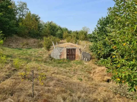 Prodaja, kuća, 150m², Mladenovac, Beograd - image 2