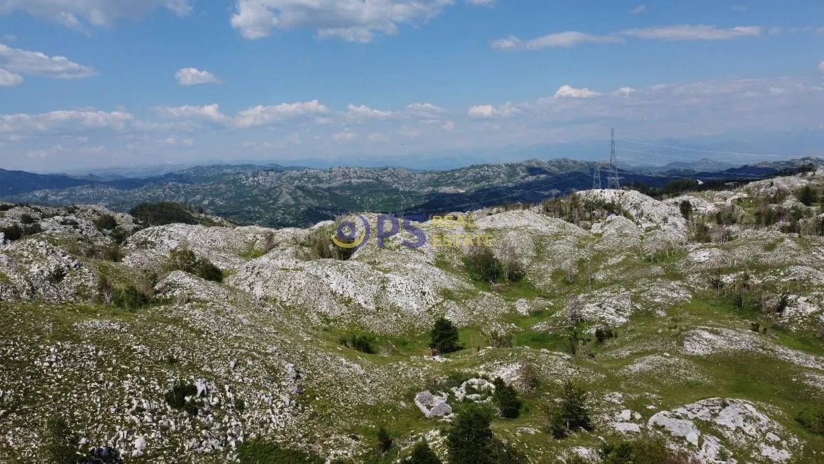 Prodaja, plac, 55000m², Cetinje, Crna Gora