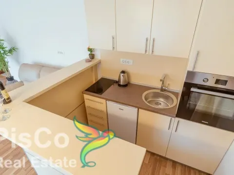 Prodaja, stan, 414m², Kolašin, Crna Gora - image 12