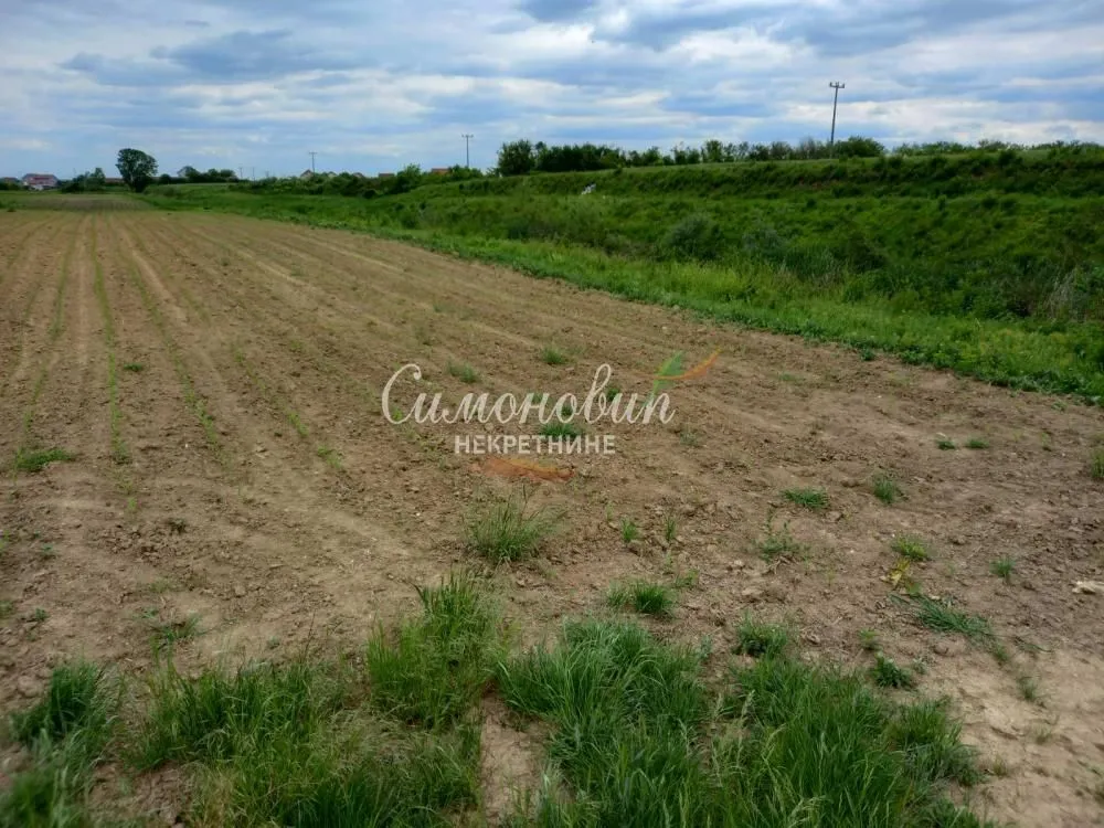 Sale, land lot, 8700m², Surčin, Beograd