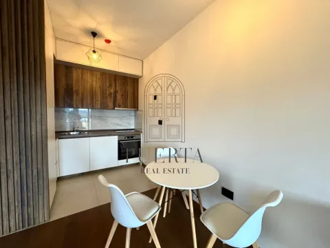 Rent, one bedroom apartment, 49m², Ljubović, Podgorica - image 4