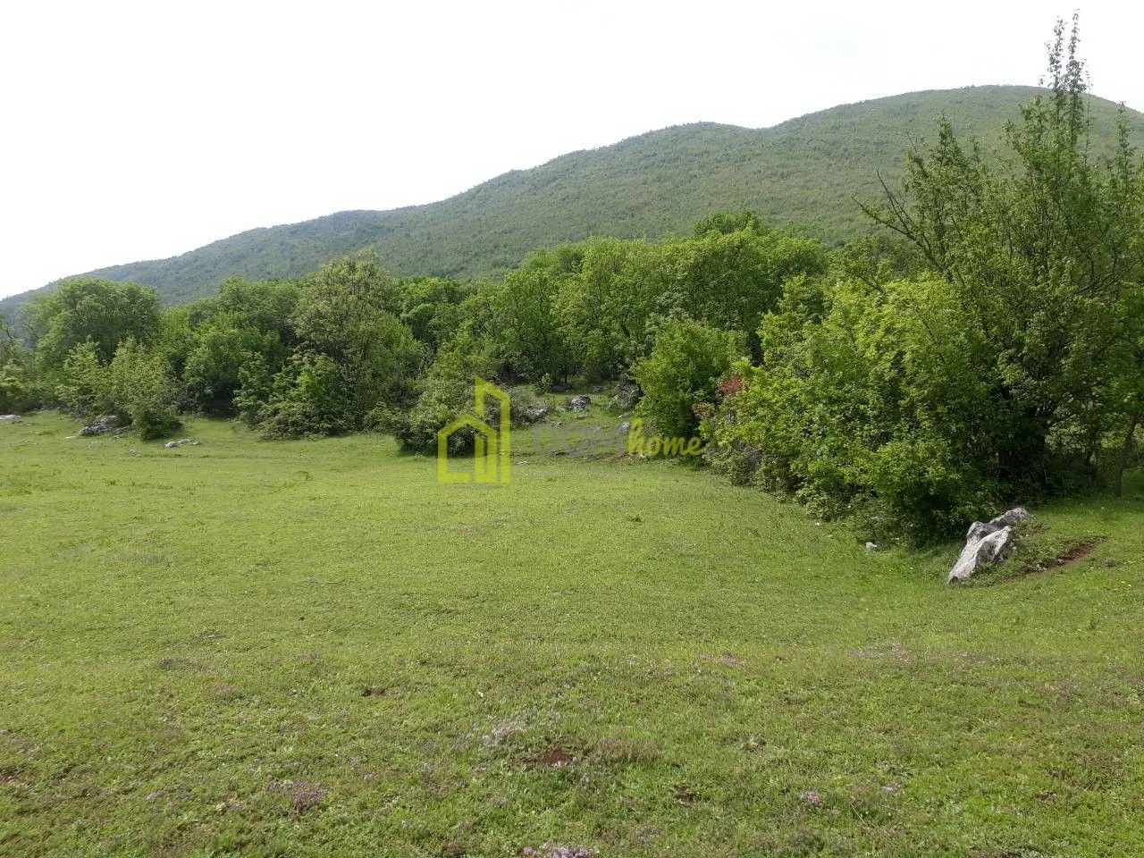 Prodaja, plac, 42349m², Zagreda, Danilovgrad