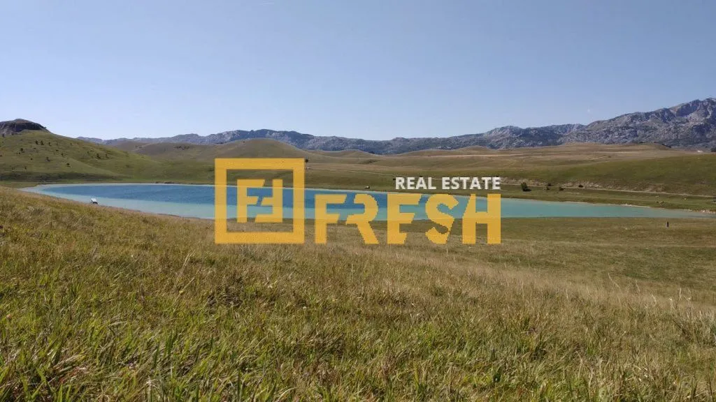 Prodaja, plac, 8000m², Žabljak, Crna Gora