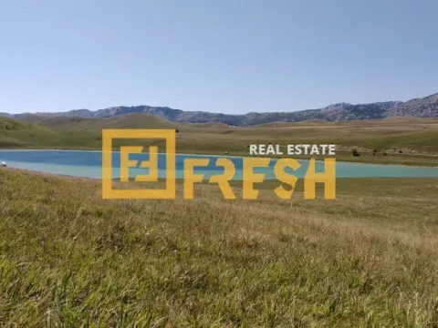 Prodaja, plac, 8000m², Žabljak, Crna Gora - image 2