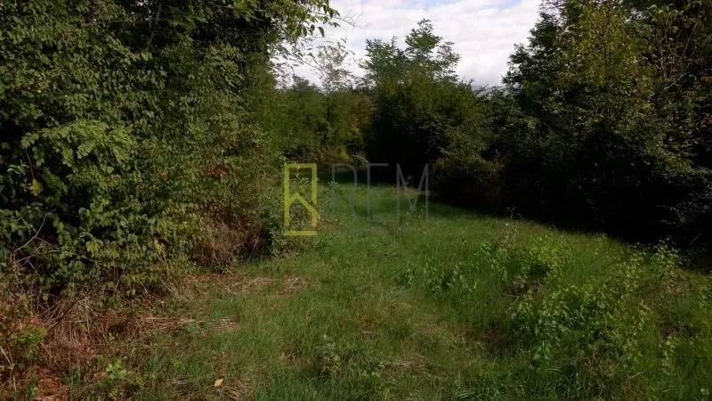 Prodaja, plac, 3000m², Grlić, Danilovgrad