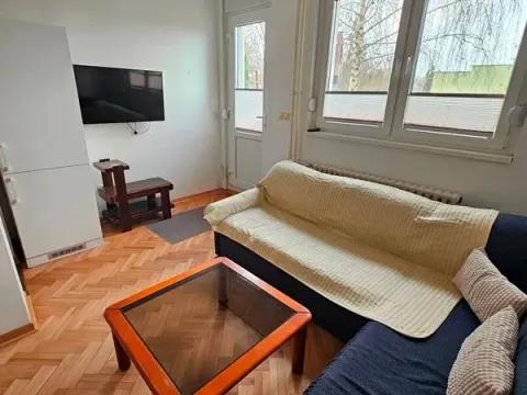 Rent, two bedroom apartment, 37m², Dedinje 25 Maj, Dedinje Sve Podlokacije - image 2