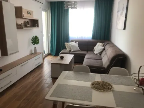 Izdavanje, jednosoban stan, 45m², Maslinjak, Budva - image 9