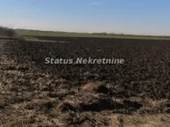 Prodaja, plac, 604m², Sremska Mitrovica, Srbija - image 10