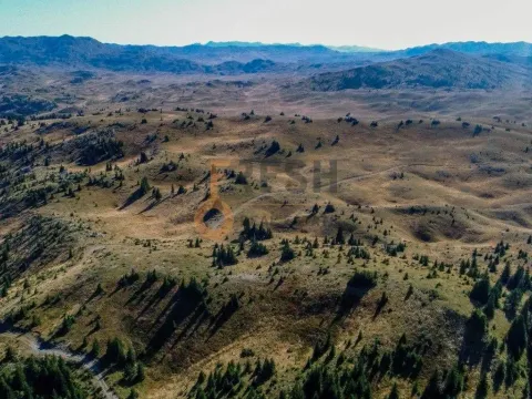 Prodaja, plac, 184880m², Žabljak, Crna Gora - image 7