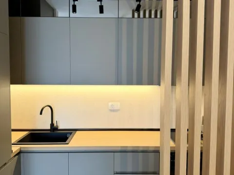 Rent, one bedroom apartment, 40m², Zabjelo, Podgorica - image 10