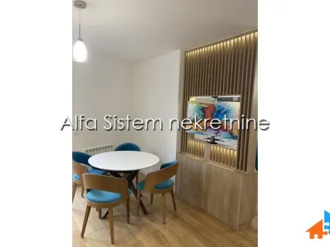 Izdavanje, dvosoban stan, 52m², Južni Bulevar, Vračar Sve Podlokacije - image 5