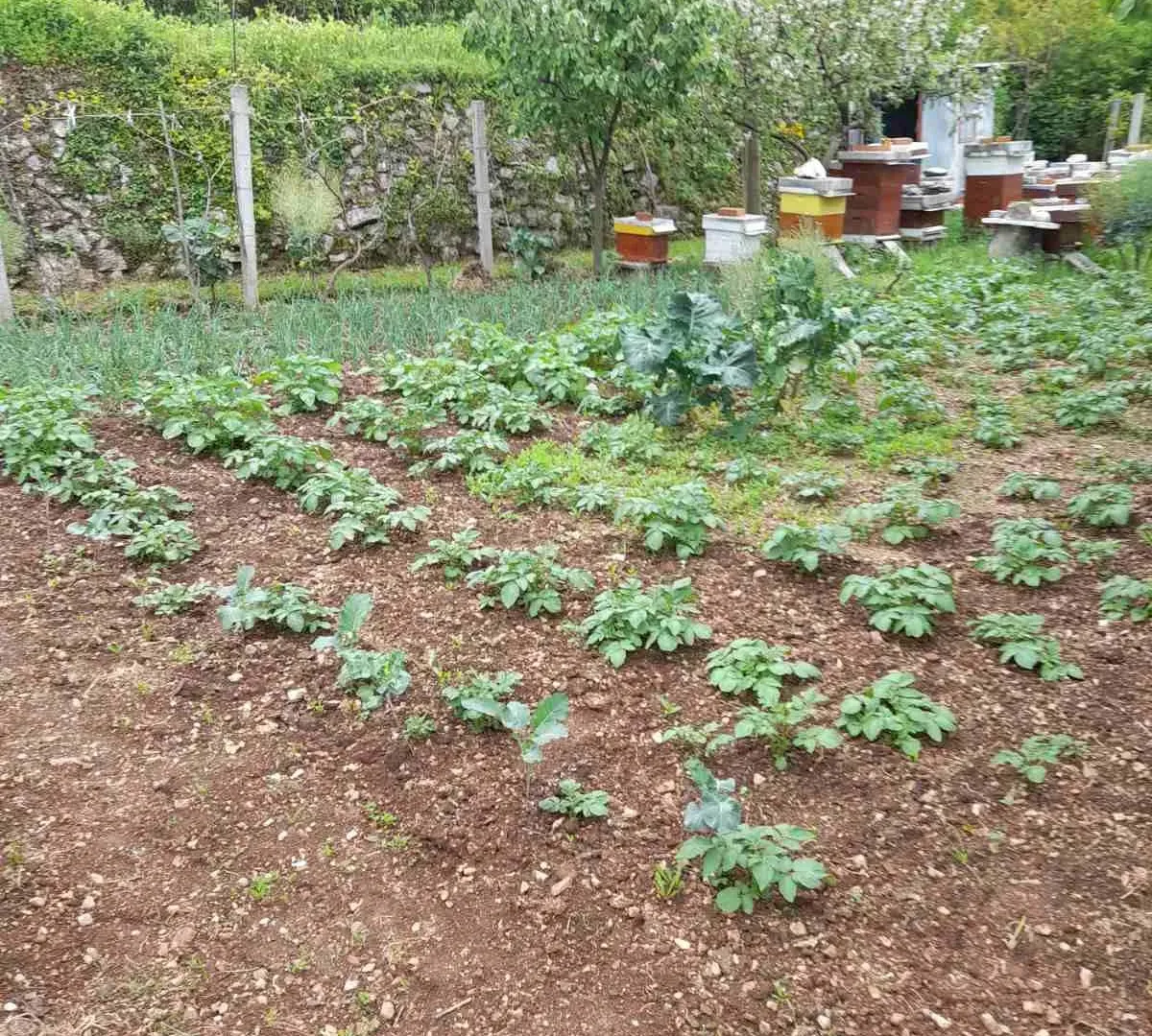 Prodaja, plac, 700m², Herceg Novi, Crna Gora