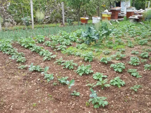 Prodaja, plac, 700m², Herceg Novi, Crna Gora - image 3