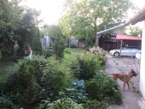 Prodaja, kuća, 385m², Centar, Bačka Topola - image 7