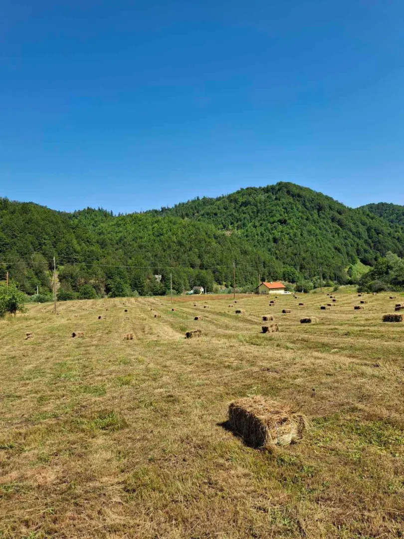 Prodaja, plac, 7000m², Veruša, Podgorica