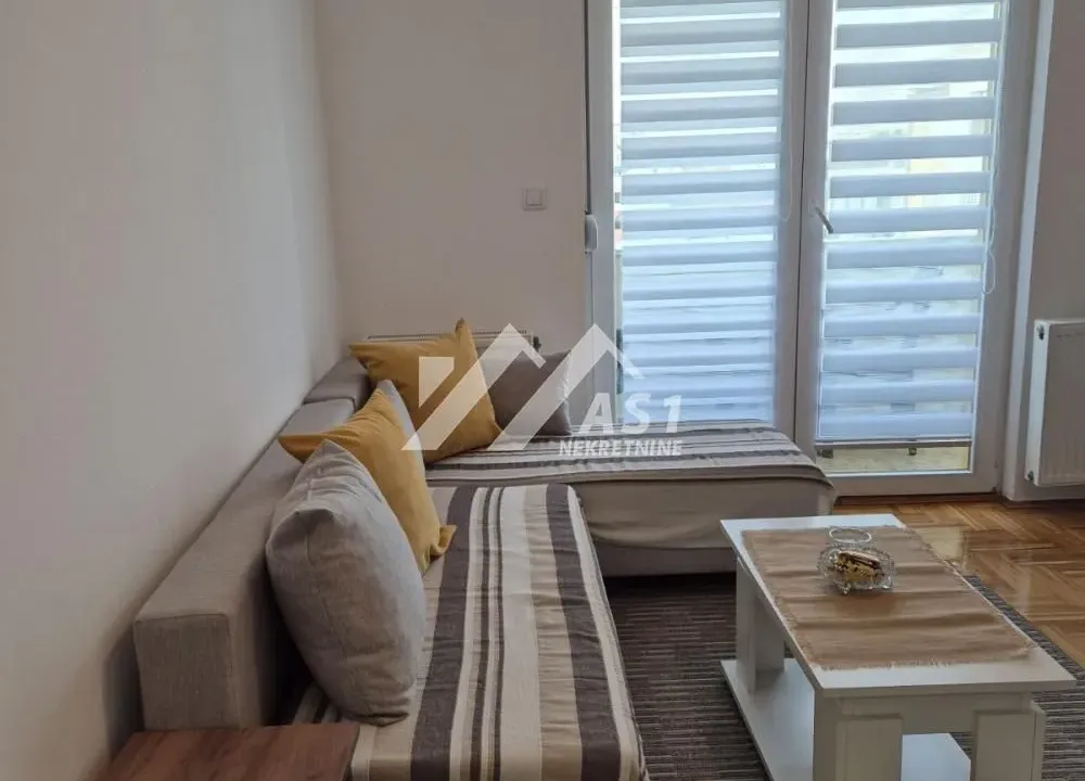 Izdavanje, jednosoban stan, 30m², Bulevar patrijarha Pavla, Novi Sad Sve Podlokacije